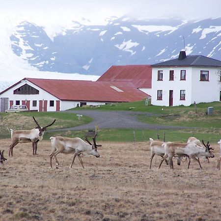 Guesthouse Hólmur Buitenkant foto
