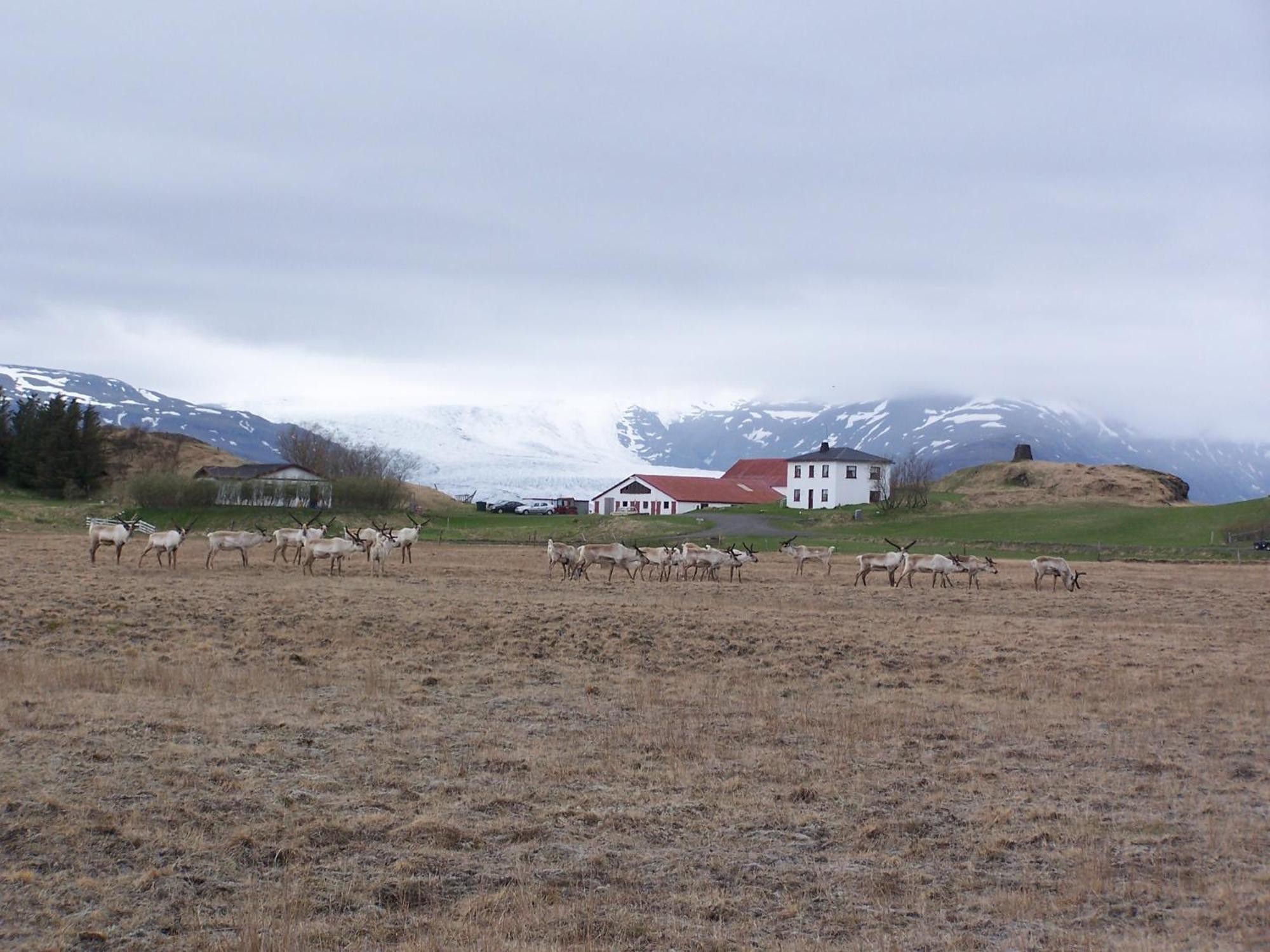 Guesthouse Hólmur Buitenkant foto