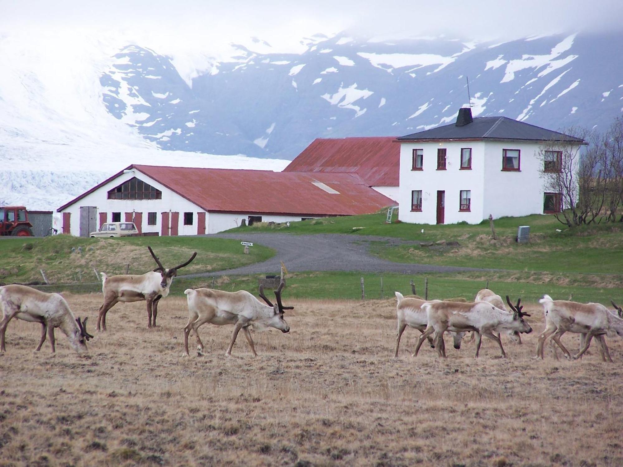 Guesthouse Hólmur Buitenkant foto